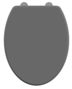 EKLA Abattant de toilette Gris anthracite Brillant A Sanitair